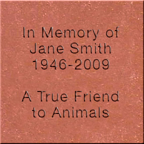 Engraved Brick Tiles