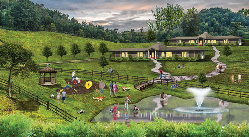 DOGS VILLAGE TITLE SPONSORSHIP