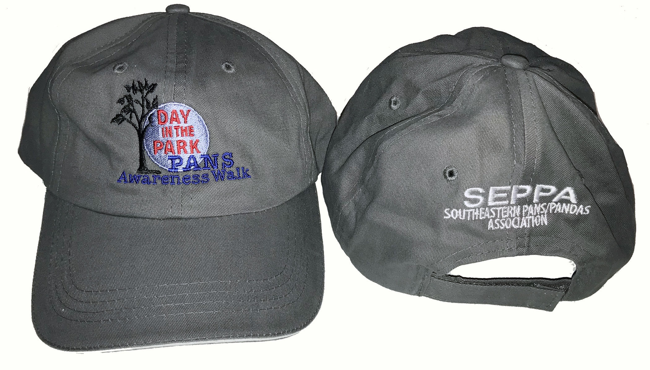 PANS Awareness Walk Cap