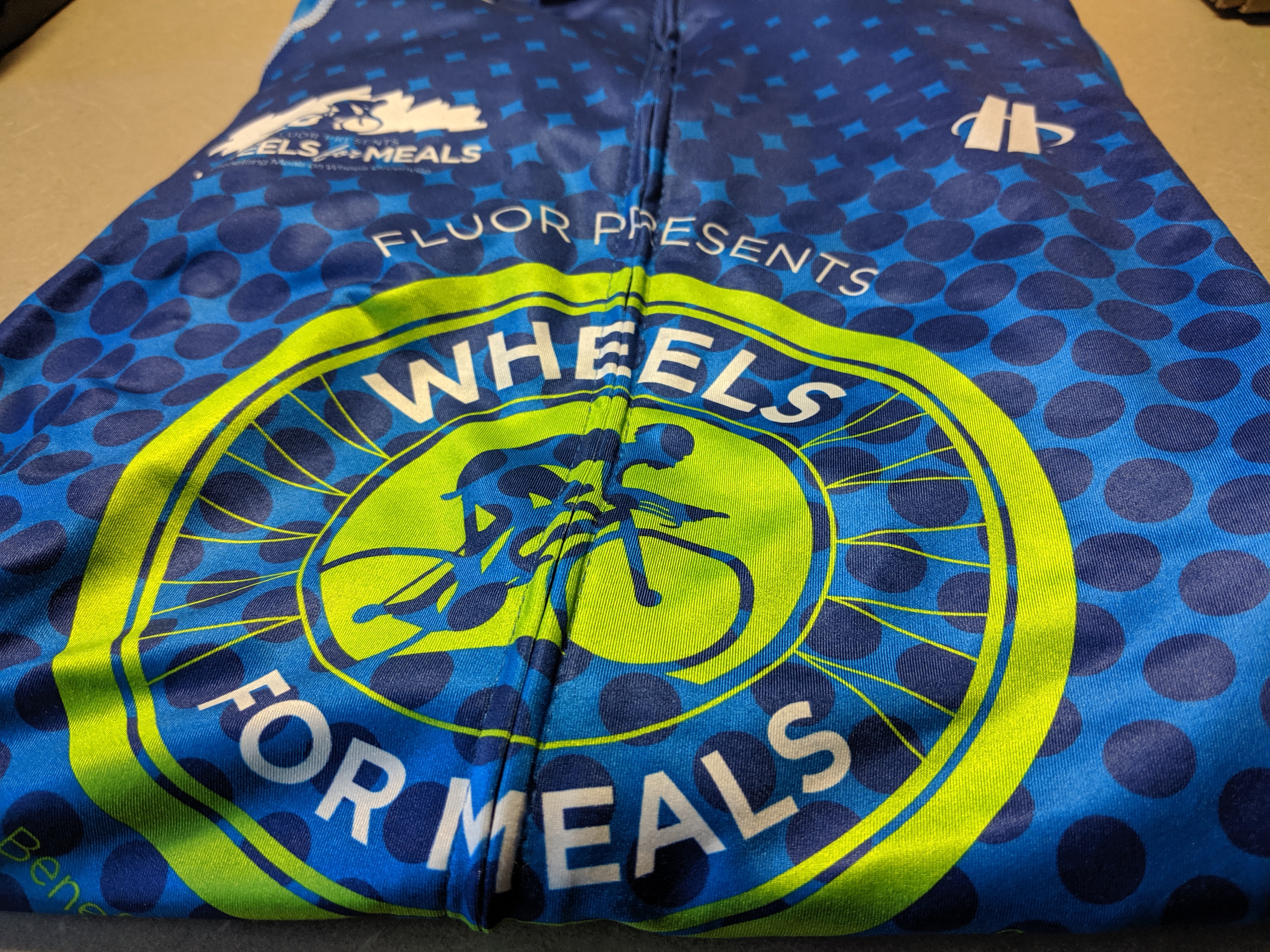 2017 Hincapie Jersey