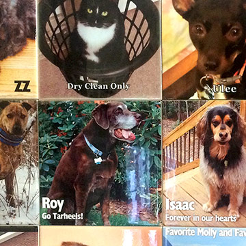 Custom Ceramic Photo Tiles