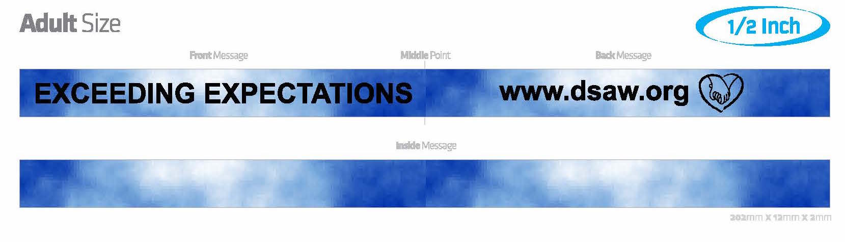 DSAW Exceeding Expectations Wristband