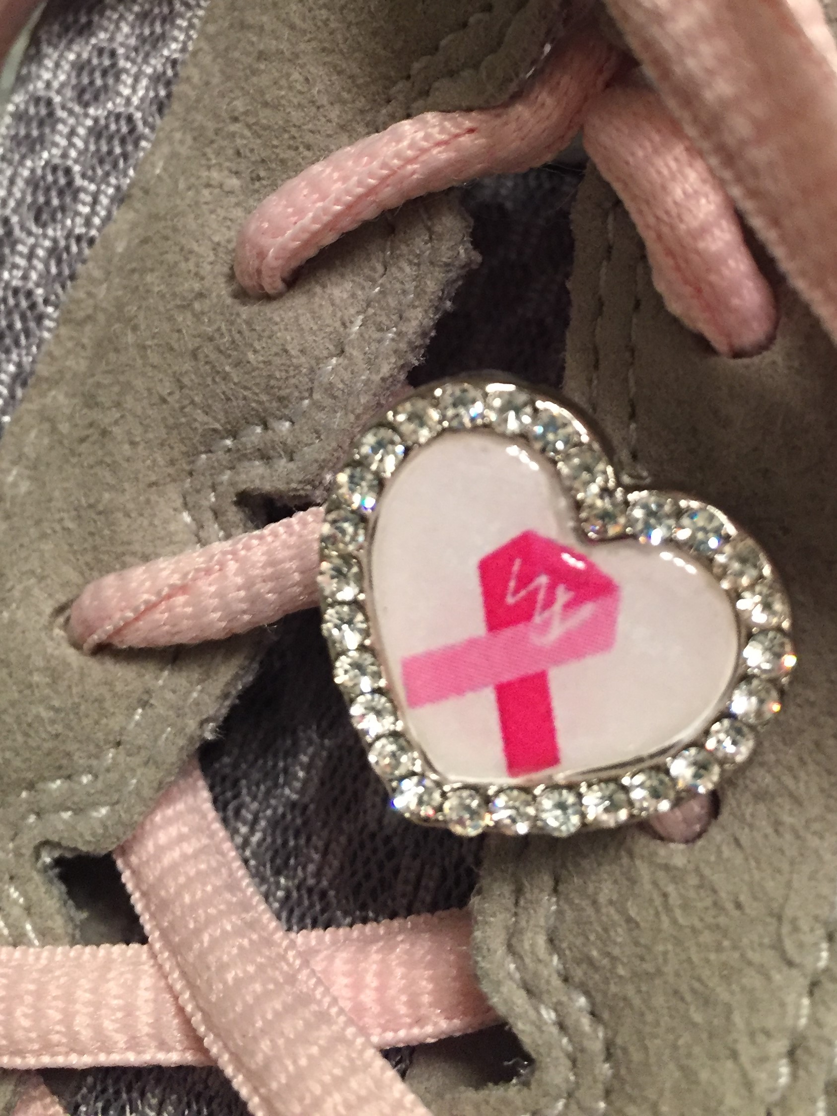 Crystal Heart Wyoming Pink Ribbon Charm